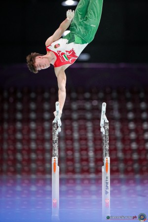 kis dominik hun sfe04318 copia simone ferraro ph